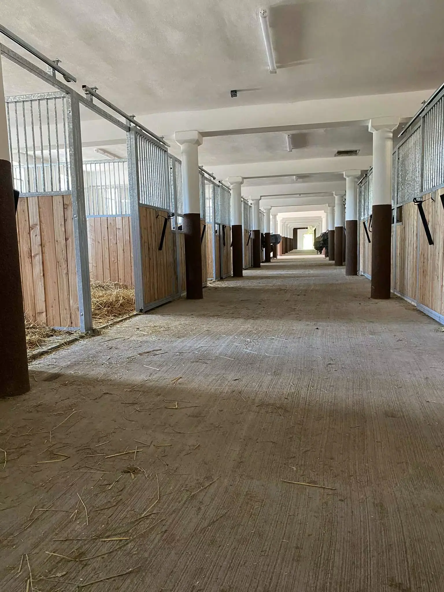 Přírodní boxy pro ustájení koní