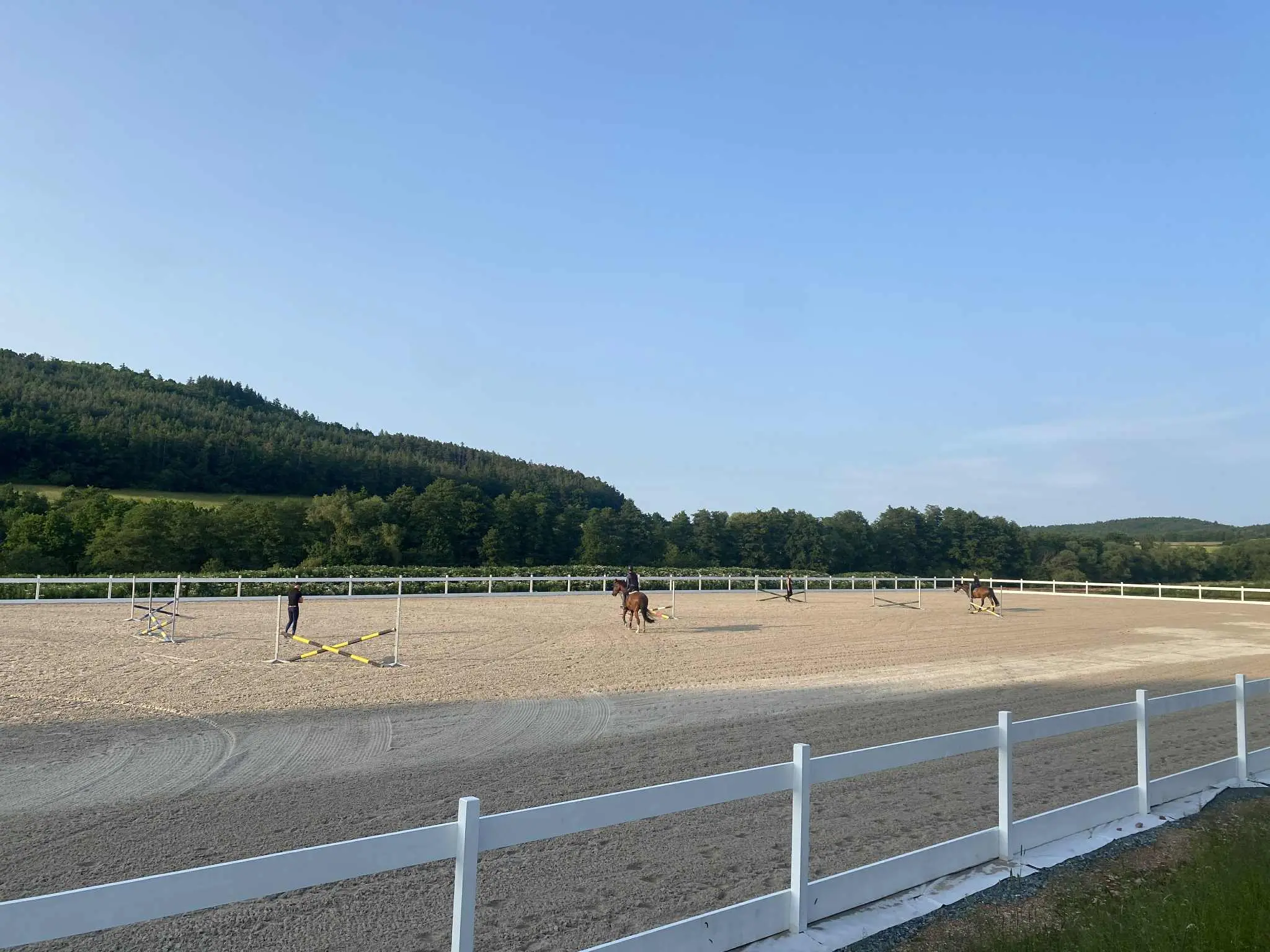 Jezdecký výcvik se zaměřením na parkur v areálu Statku Nezdice u Plzně